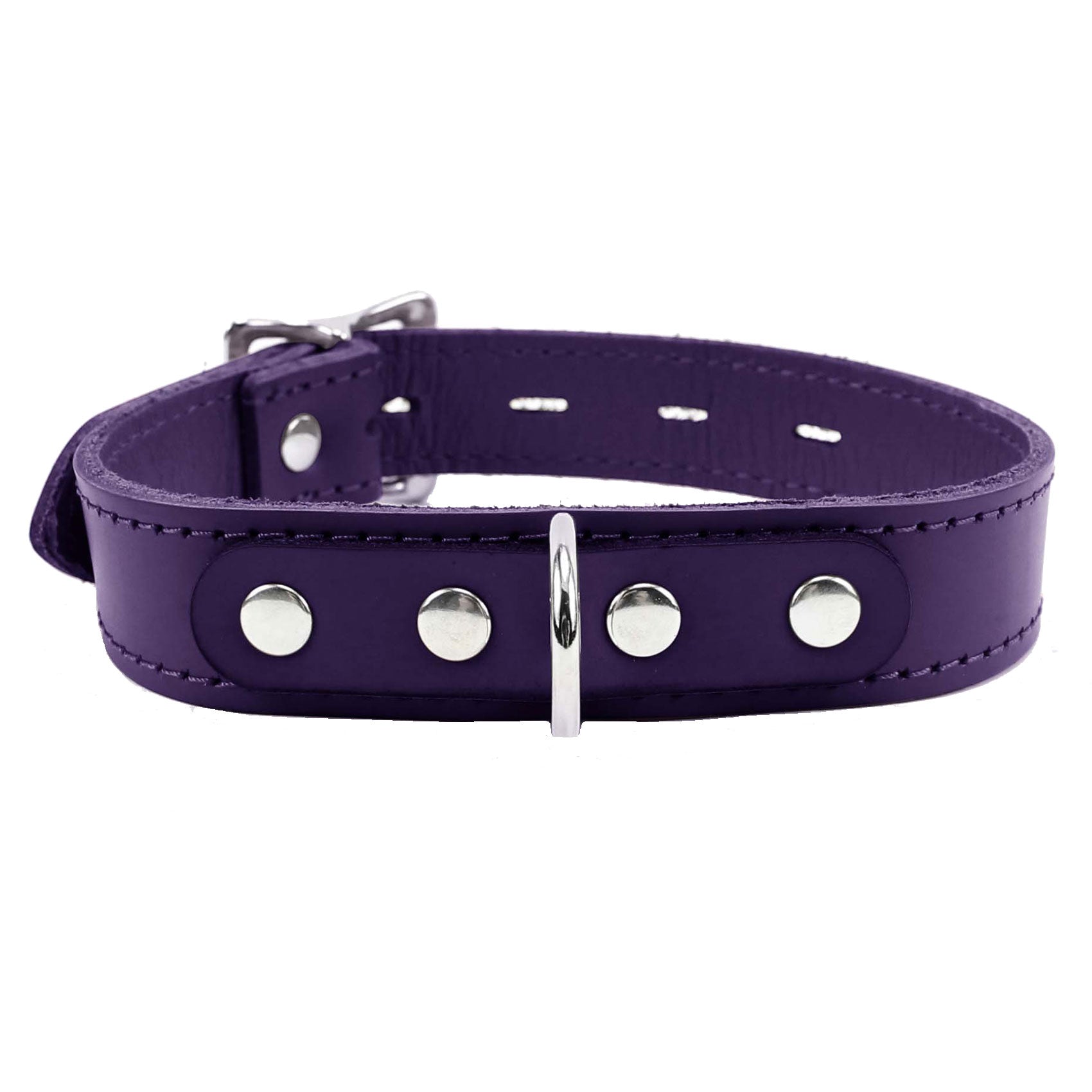 Luxury Alice Locking Leather Day Collar 1-Inch