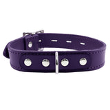 Luxury Alice Locking Leather Day Collar 1-Inch