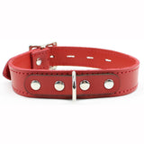 Luxury Alice Locking Leather Day Collar 1-Inch