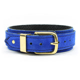 Luxury Blue Suede Bondage Collar Back with Gold Hardware