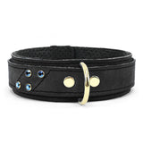 Luxury Black Suede Bondage Collar with Gold Hardware