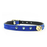 Luxury Suede BDSM Day collar Blue Gold