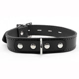 Luxury Alice Locking Leather Day Collar 1-Inch