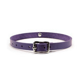 Handmade leather bondage day collar purple back buckle