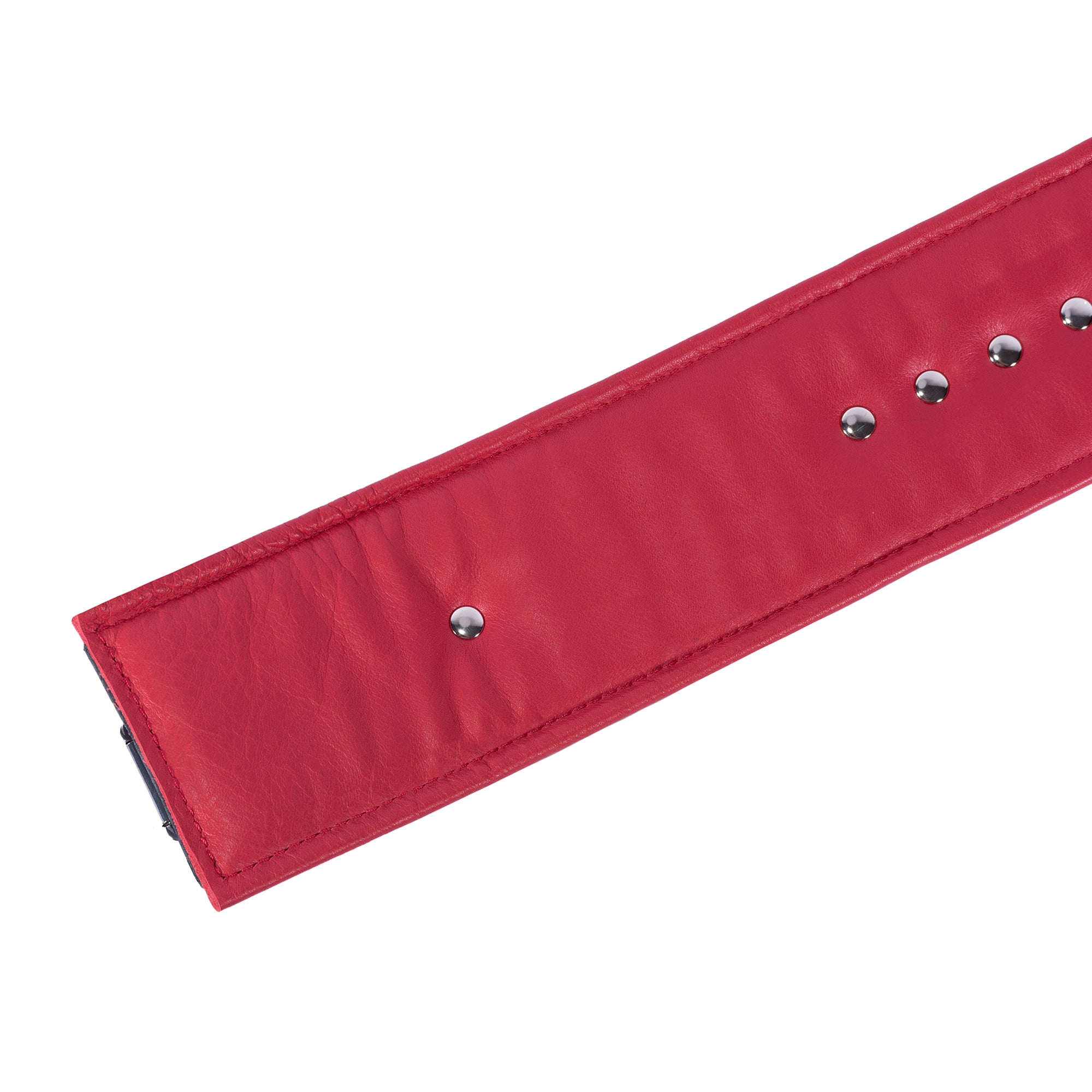 Mandrake Leather Bondage Waist Belt