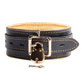 Theodora Luxury Golden Collar and Leash