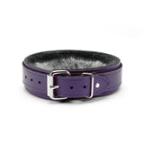 Berlin Small Leather Bondage Collar Purple Back