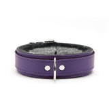 Berlin Small Leather Bondage Collar Purple Front