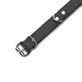 Kathleen 1-inch Wide Leather BDSM Collar
