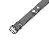 Kathleen 1-inch Wide Leather BDSM Collar Gray