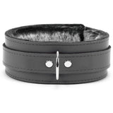 Berlin Luxury Bondage Collar Gray