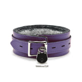 Berlin Locking Leather BDSM Collar Purple