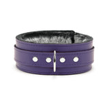 Berlin Purple Locking Bondage Collar Front