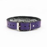 Luxury BDSM Collar Purple Leather Back