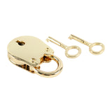 Locking Padlock