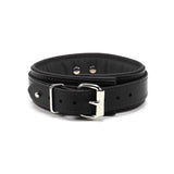 Mandrake Padded Leather BDSM Collar Black Back