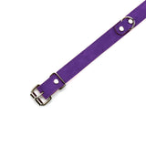 Lena Purple BDSM Submissive Collar Detail