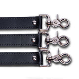 Mandrake 3-Piece Double Snap Leather Strap Set