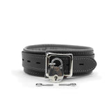 Mandrake Padded Leather BDSM Collar 1.5-Inch