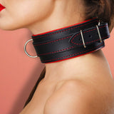 Mandrake Padded Leather BDSM Collar on Model