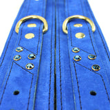 Luxury Blue Suede Bondage Gear Gold Hardware Detail