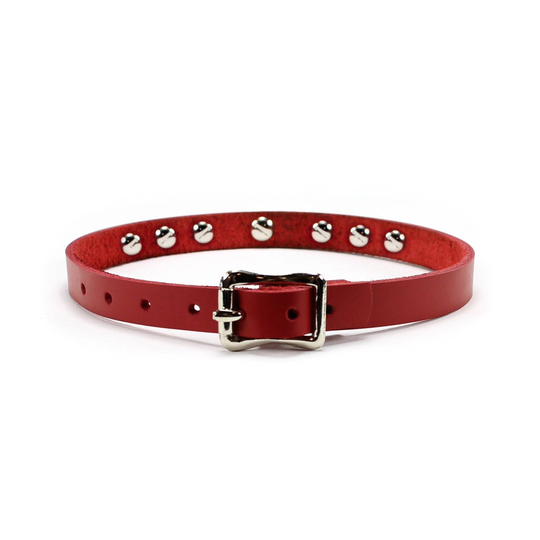 Luxury leather bondage DDLG day collar red back