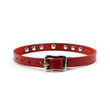 Luxury leather bondage DDLG day collar red back