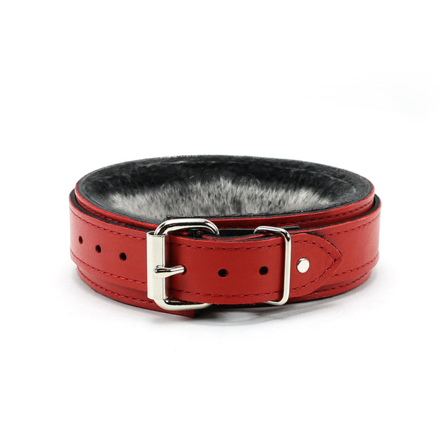 Berlin Small Leather Bondage Collar Red Back