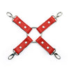Berlin Red Leather BDSM Hogtie