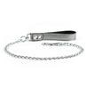 Gaius High-End Nickle-Plated Pet Lead with Silver Leather Handle