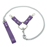 Berlin BDSM Chain Lead Hogtie Purple Leather 