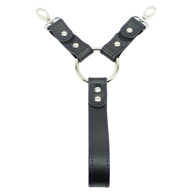 2-point handle BDSM hogtie purple