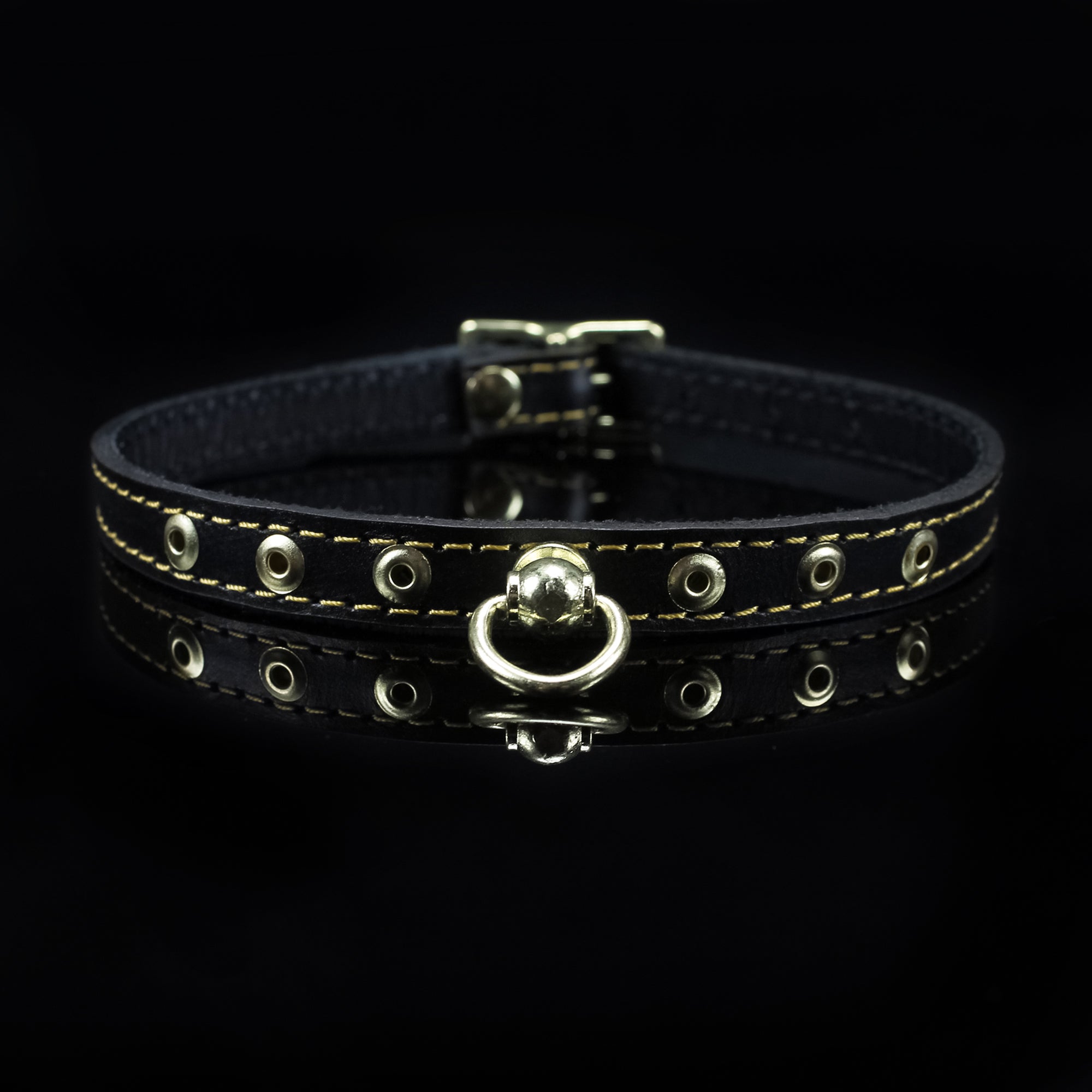 Luxury Metallic Leather Bondage Day Collar on Black