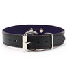 Luxury Padded Leather BDSM Day Collar Purple Black