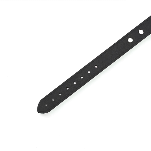 Mandrake Leather BDSM Day Collar 1-Inch