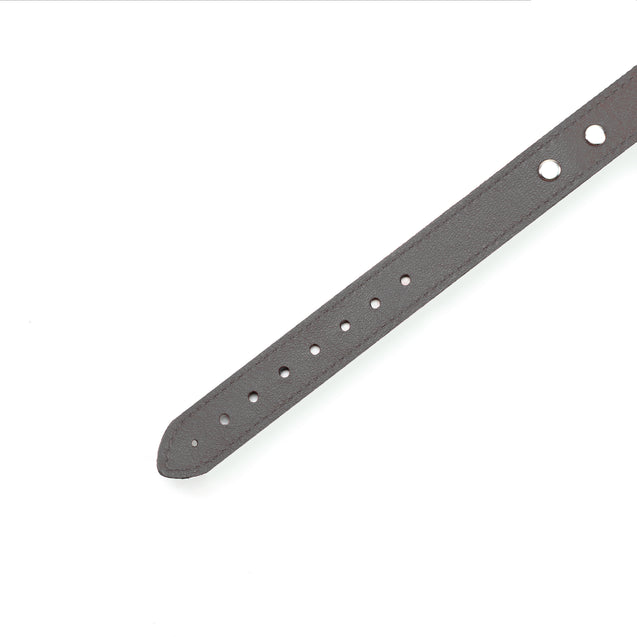 Mandrake Leather BDSM Day Collar 1-Inch