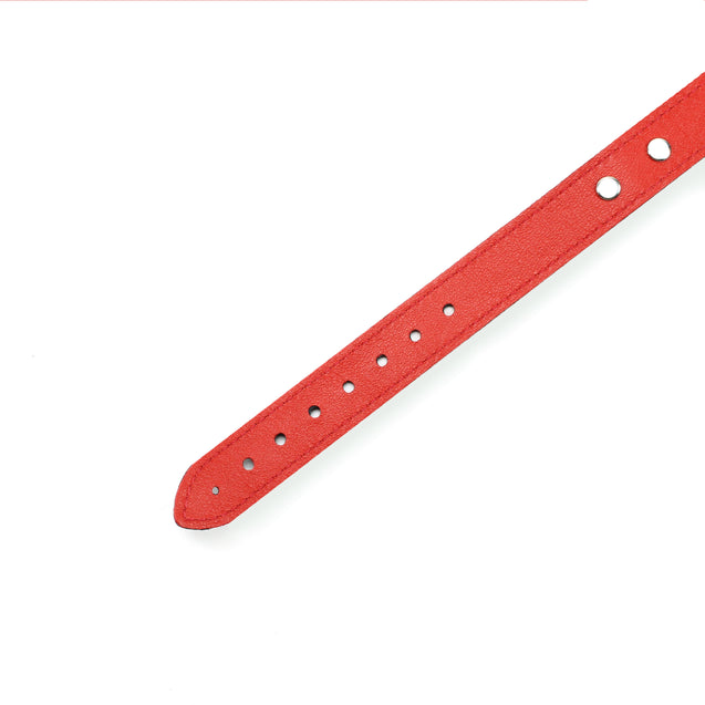 Mandrake Leather BDSM Day Collar 1-Inch