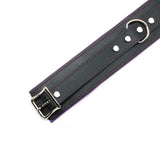 Luxury purple detail padded locking bondage collar