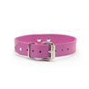 Atlas Pink Leather BDSM Day Collar with Back Buckle