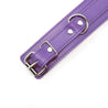 Atlas Purple Leather Submissive Bondage Collar with Nickel-Plated Hardware