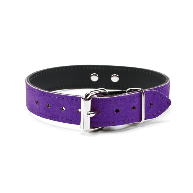Lena Purple Submissive Collar Buckle Detail