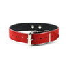 Lena Red Submissive Collar Buckle Detail
