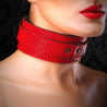 perforated red leather BDSM collar and Lead