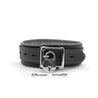 Mandrake Padded Leather BDSM Collar 1.5-Inch